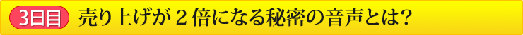 3日目 売り上げが２倍になる秘密の音声とは？